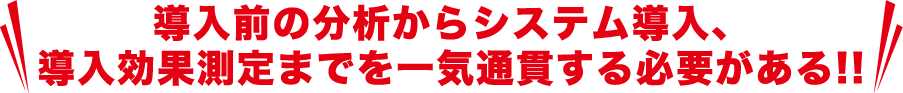 導入前の分析からシステム導入、導入効果測定までを一気通貫する必要がある!!