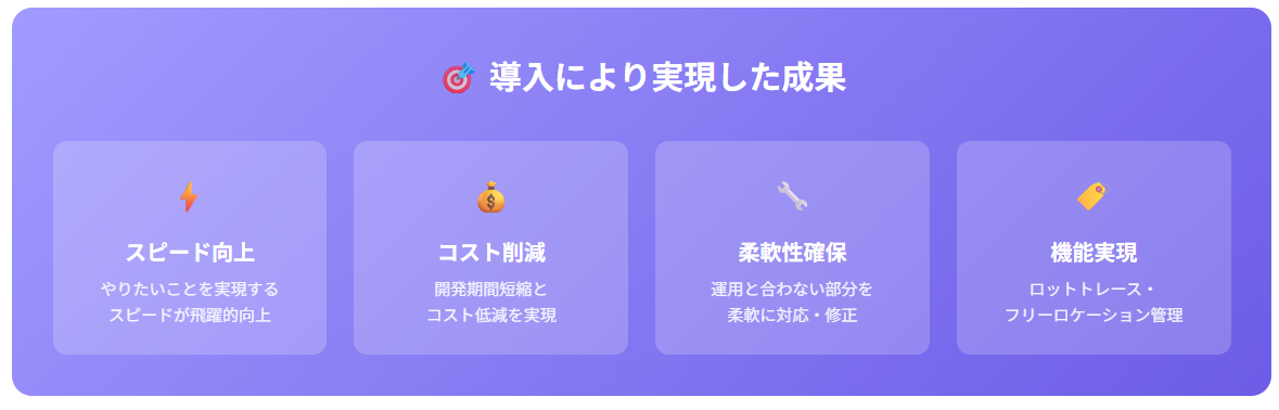 セミスクラッチ型WMS導入効果
